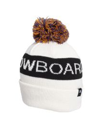 Gorro DC Beanie Snow Chester