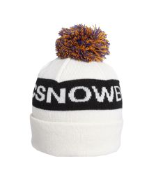 Gorro DC Beanie Snow Chester