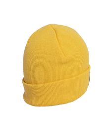 Gorro DC Beanie Snow Label