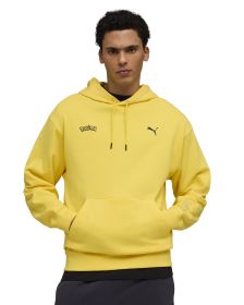 Buzo Puma X Pokémon Graphic