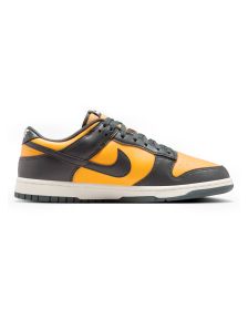 Zapatillas Nike Dunk Low Retro