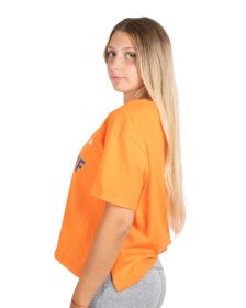 Remera Le Coq Sportif Dynactif