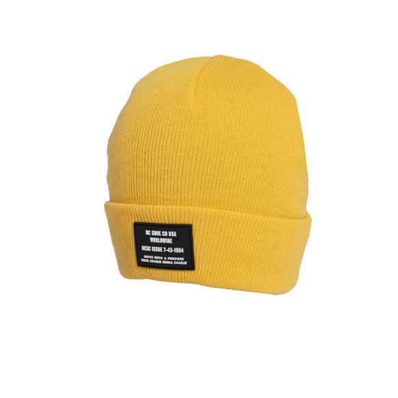 Gorro DC Beanie Snow Label