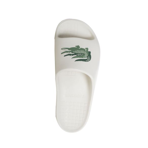 cb559f11-3ba1-49b7-a69f-f175bdd98c83