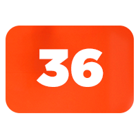 talle 36