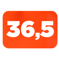 talle 36,5