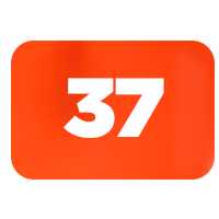 talle 37